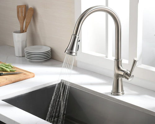 Lucena Bath Single Handle Pull-Down Kitchen Faucet, Brushed Nickel